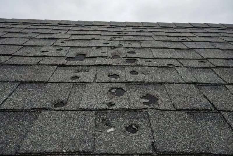 Hail Damage