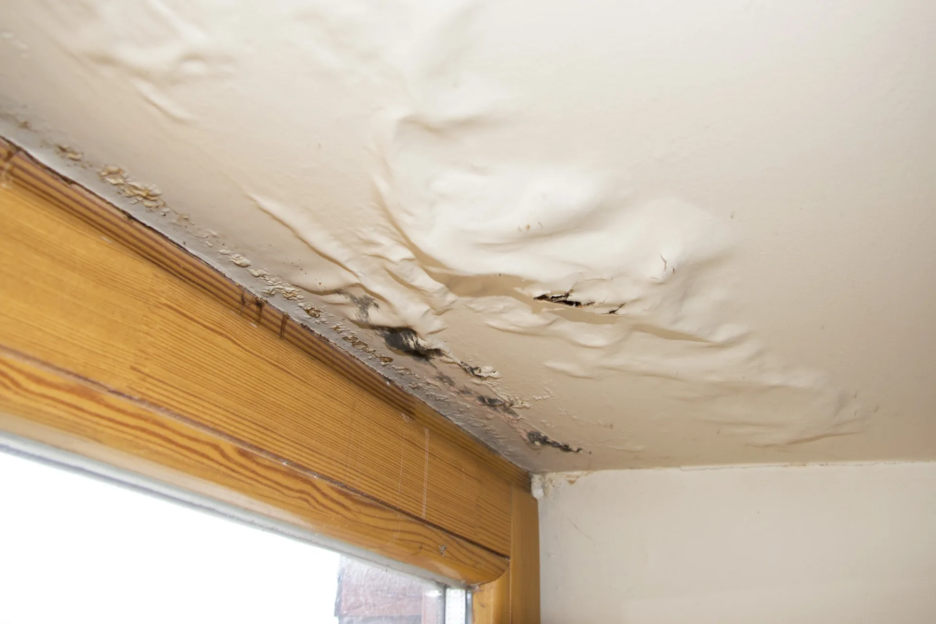 Roof Leak Claims That Start With the Right Question: What Caused It?